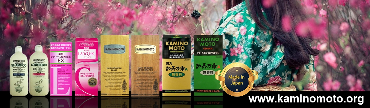 Nguồn gốc thương hiệu Kaminomoto