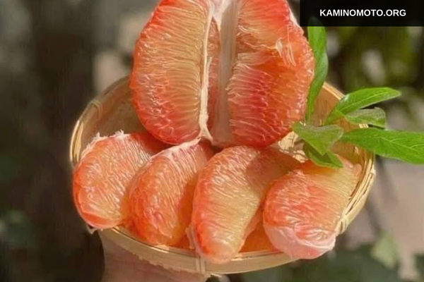 Ăn bưởi có giúp tóc mọc nhanh hơn không?