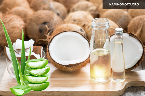 Dùng dầu dừa và nha đam để ủ tóc