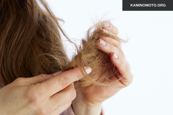 Không nhuộm khi tóc đang hư tổn nặng