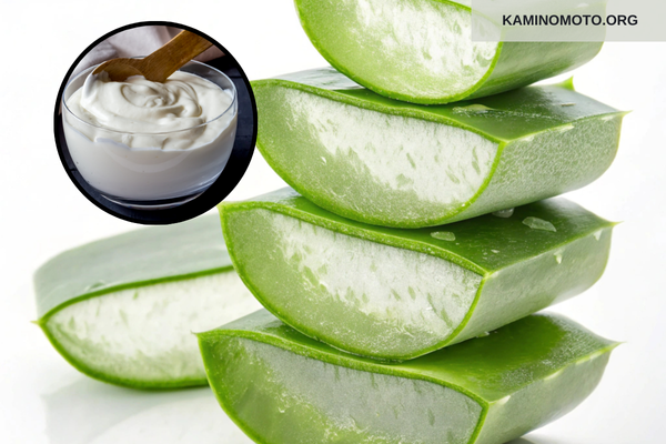 Lợi ích khi ủ tóc bằng nha đam và sữa chua