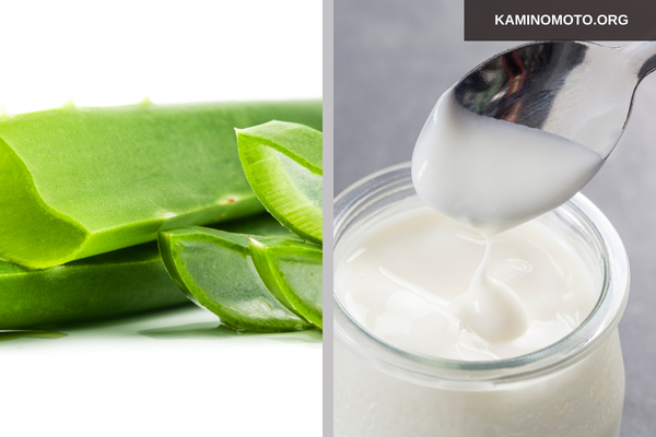 Tại sao nên ủ tóc bằng nha đam và sữa chua?