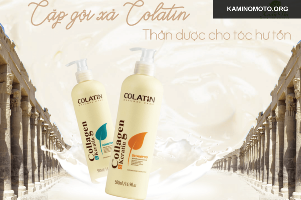 Thành phần nổi bật trong cặp gội xả Colatin